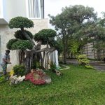 Jasa Taman Jogja