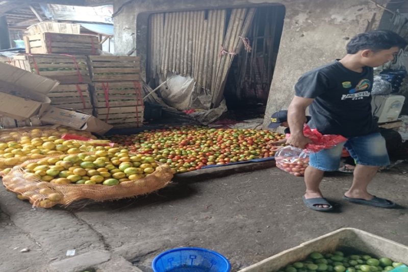 Harga Tomat dan Bawang Merah Naik Di Pasar Sepatan