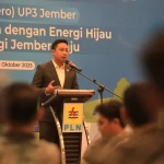 WhatsApp Image 2025-10-29 at 11.39.23