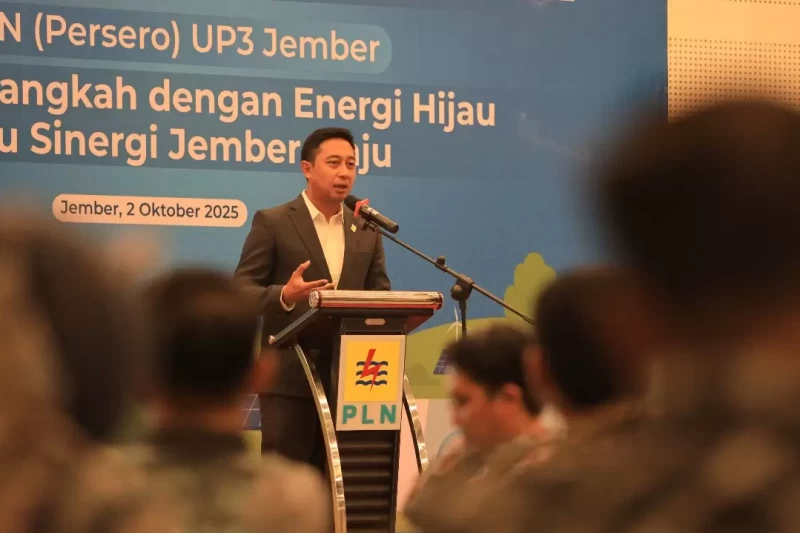 WhatsApp Image 2025-10-29 at 11.39.23