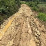 Desain tanpa judul - 2025-11-08T075057.292