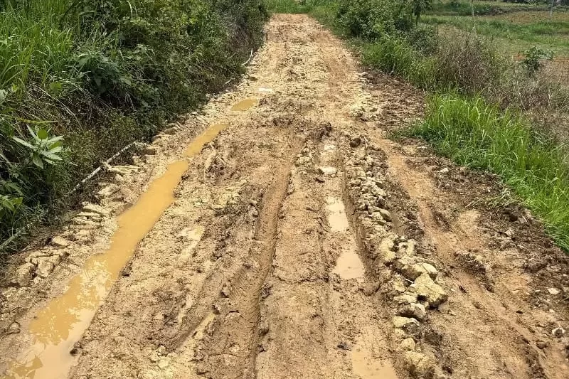 Desain tanpa judul - 2025-11-08T075057.292