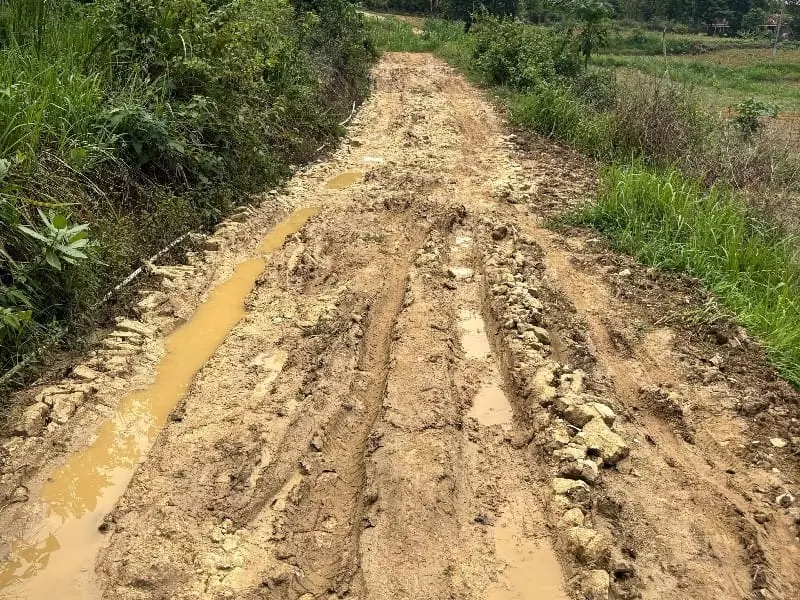 Desain tanpa judul - 2025-11-08T075057.292