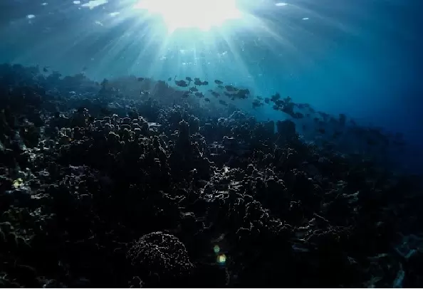 Photo by Benjamin L. Jones on Unsplash