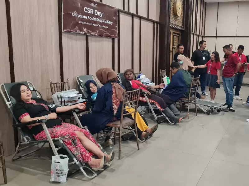 IMG-20251104-WA0037_copy_800x600