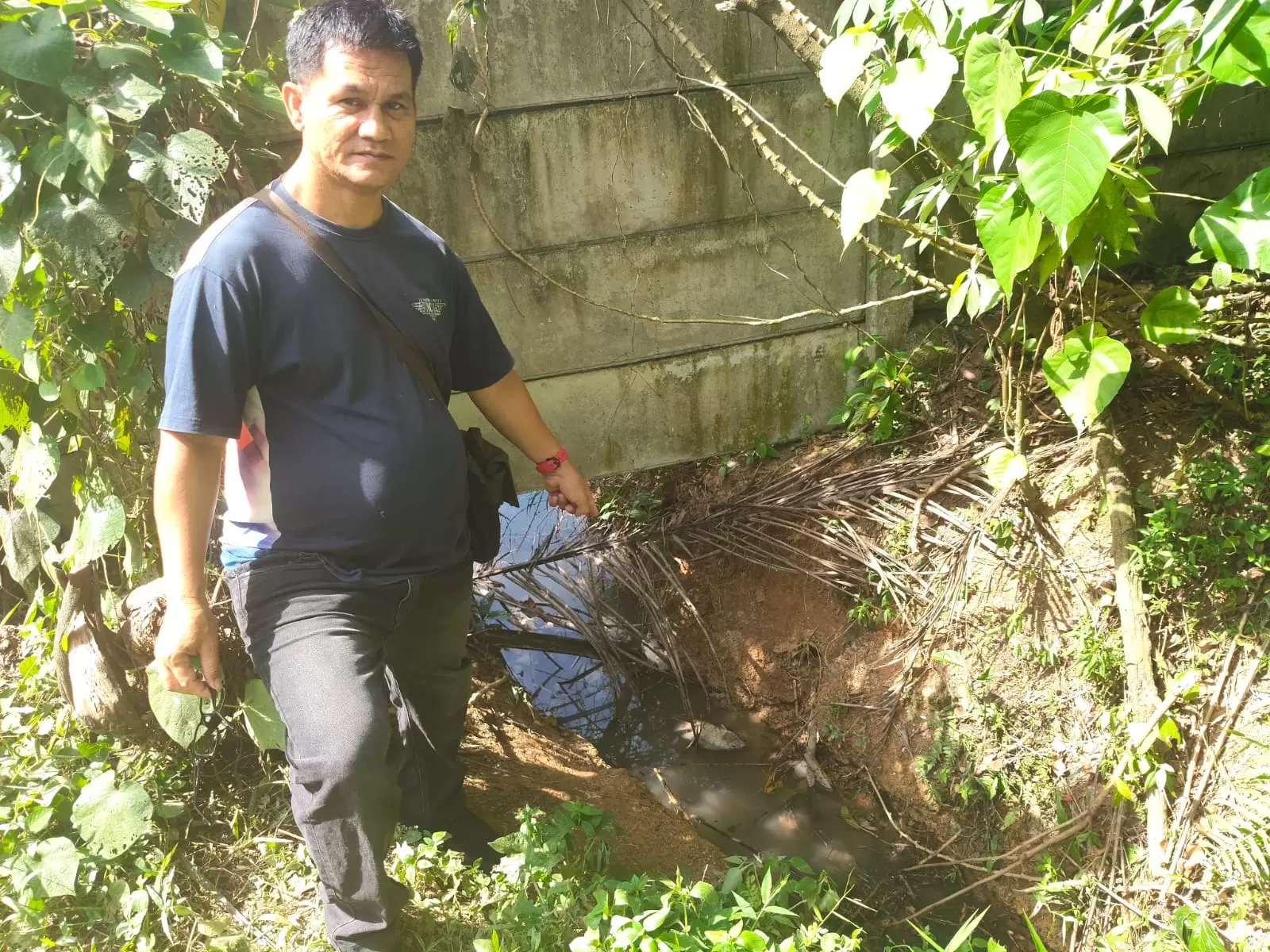 IMG-20251105-WA0014(1)