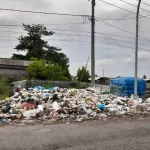 IMG-20251112-WA0085(1)_copy_800x600