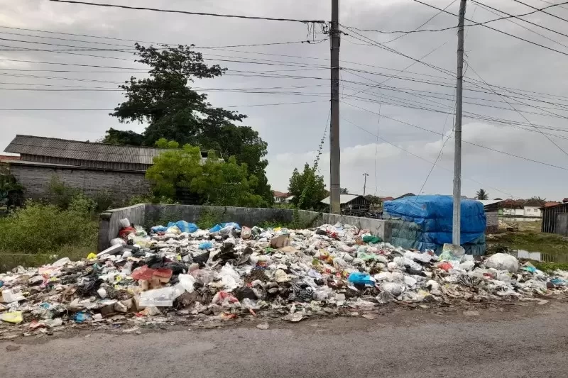 IMG-20251112-WA0085(1)_copy_800x600