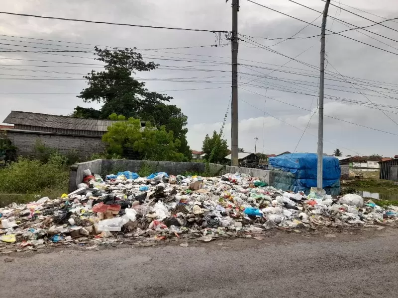 IMG-20251112-WA0085(1)_copy_800x600