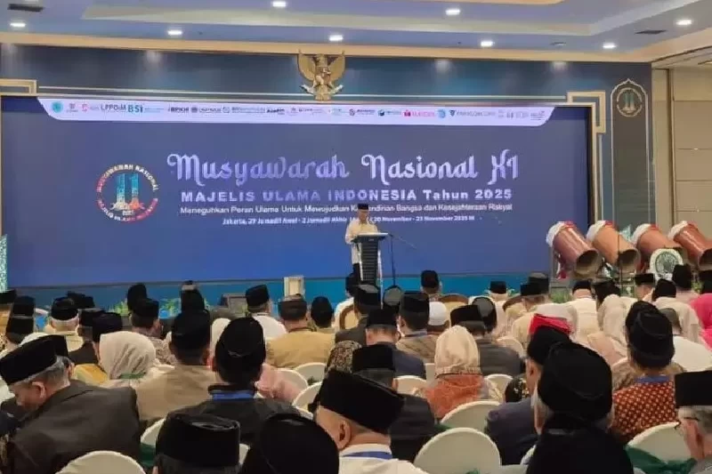 IMG-20251122-WA0028_copy_800x600