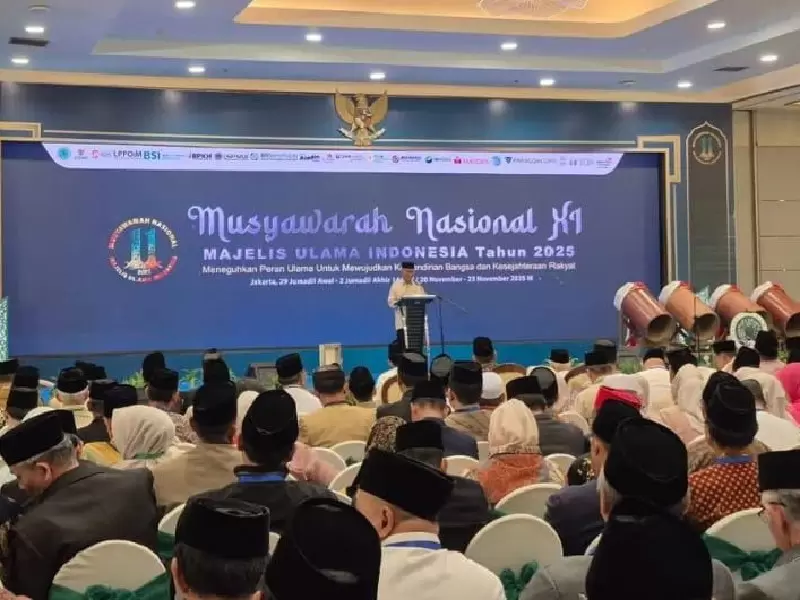 IMG-20251122-WA0028_copy_800x600