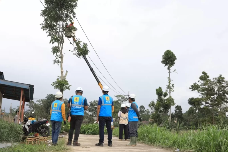 WhatsApp Image 2025-11-29 at 02.44.48 (2)