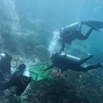 Aksi Nyata Jaga Laut Raja Ampat, UKP Pariwisata Bersama The Sea People