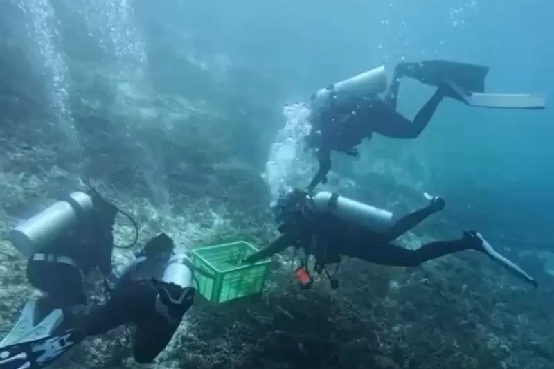 Aksi Nyata Jaga Laut Raja Ampat, UKP Pariwisata Bersama The Sea People