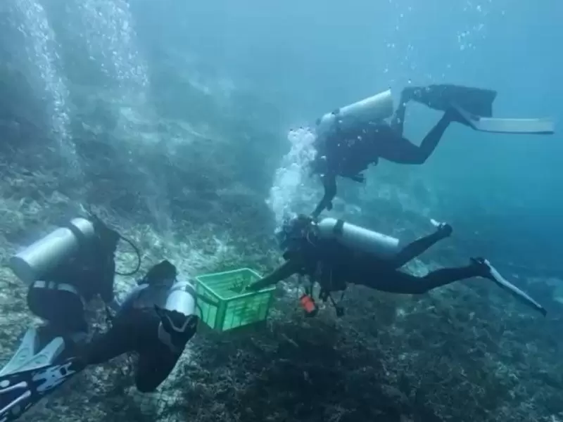 Aksi Nyata Jaga Laut Raja Ampat, UKP Pariwisata Bersama The Sea People