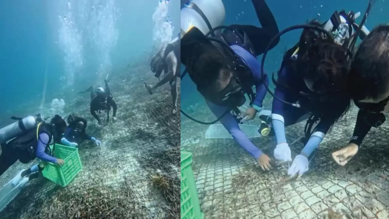 Aksi Nyata Jaga Laut Raja Ampat, UKP Pariwisata Bersama The Sea People