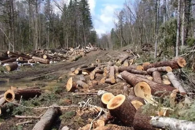 Desain tanpa judul - 2025-12-07T160946.275