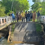 Desain tanpa judul (53)