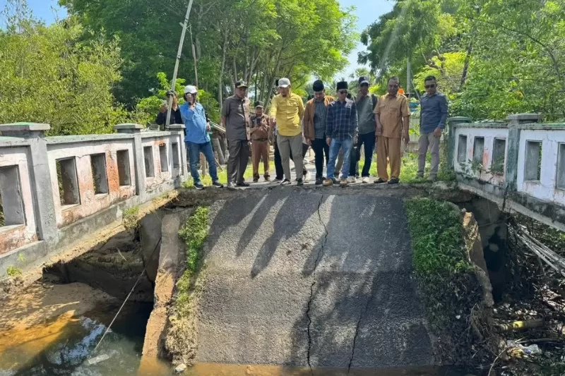 Desain tanpa judul (53)