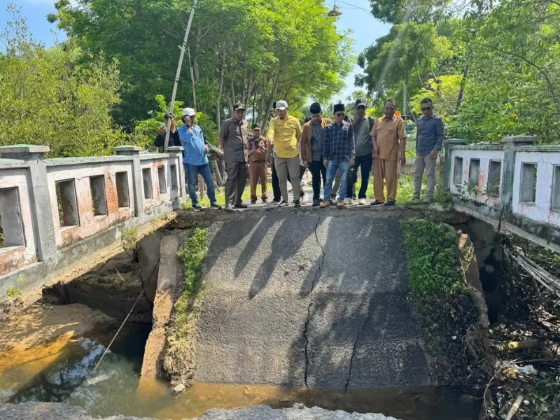 Desain tanpa judul (53)