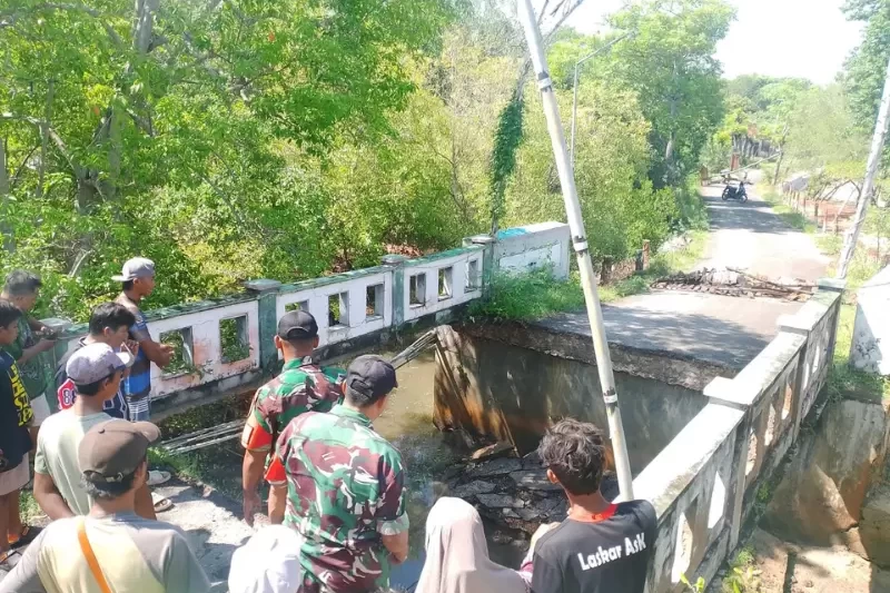 Desain tanpa judul (53)