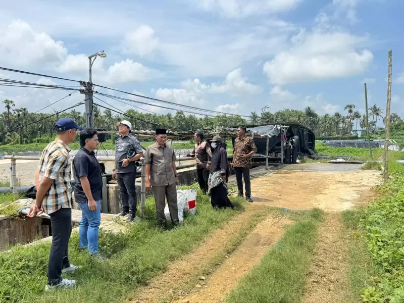 IMG-20251211-WA0026_copy_800x600