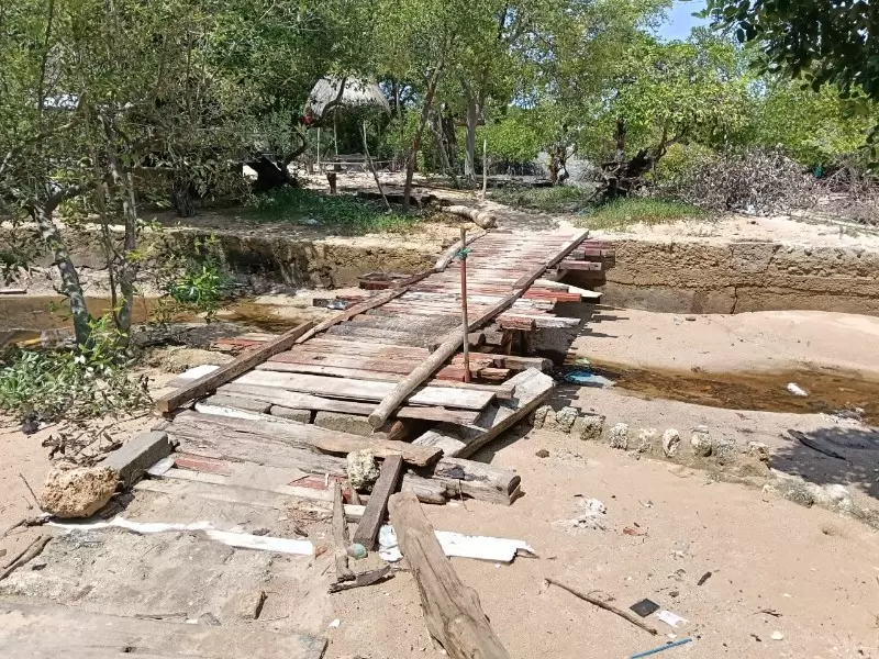 IMG-20251222-WA0032_copy_800x600