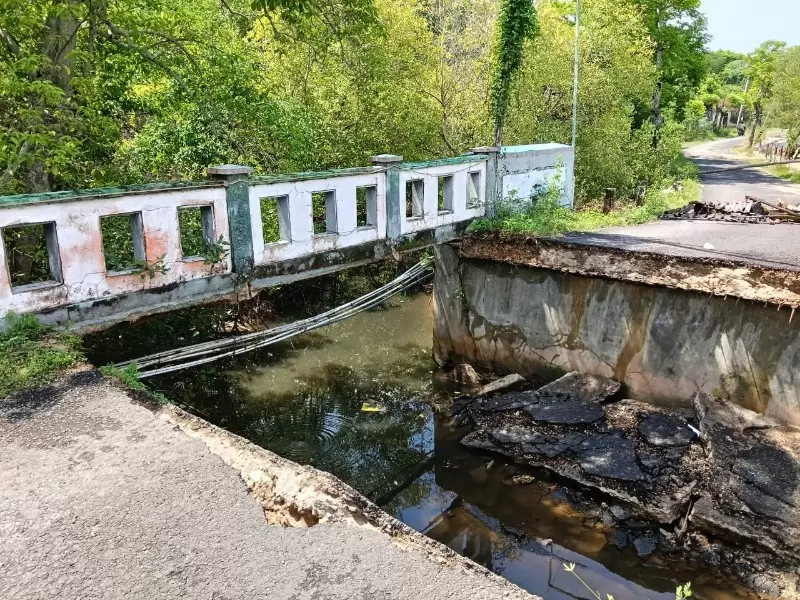 IMG-20251222-WA0036_copy_800x600