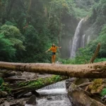 istockphoto-2089018252-612x612