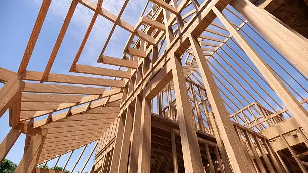 istockphoto-2220379118-612x612