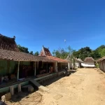 WhatsApp Image 2025-12-11 at 20.21.49