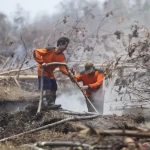 Desain tanpa judul - 2026-01-10T024803.636