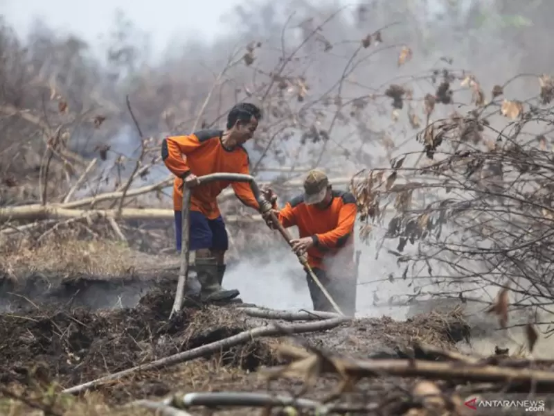 Desain tanpa judul - 2026-01-10T024803.636