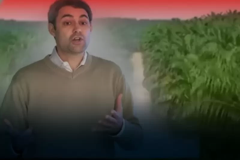 Desain tanpa judul - 2026-01-11T081421.186