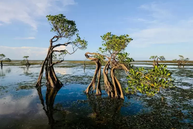 Desain tanpa judul - 2026-01-19T230501.492