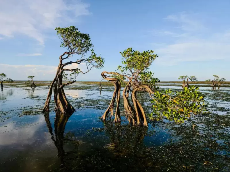 Desain tanpa judul - 2026-01-19T230501.492