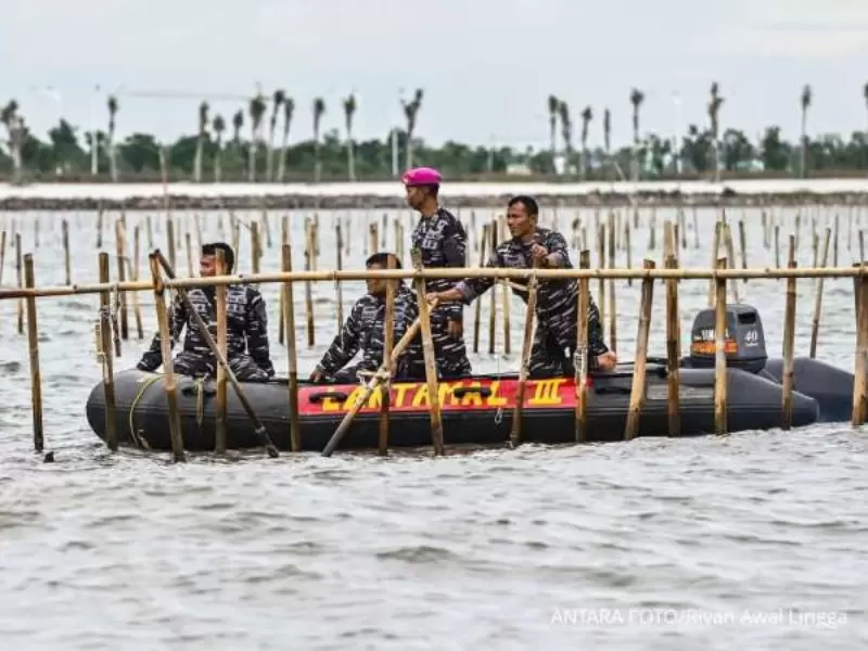 Desain tanpa judul - 2026-01-23T083808.714