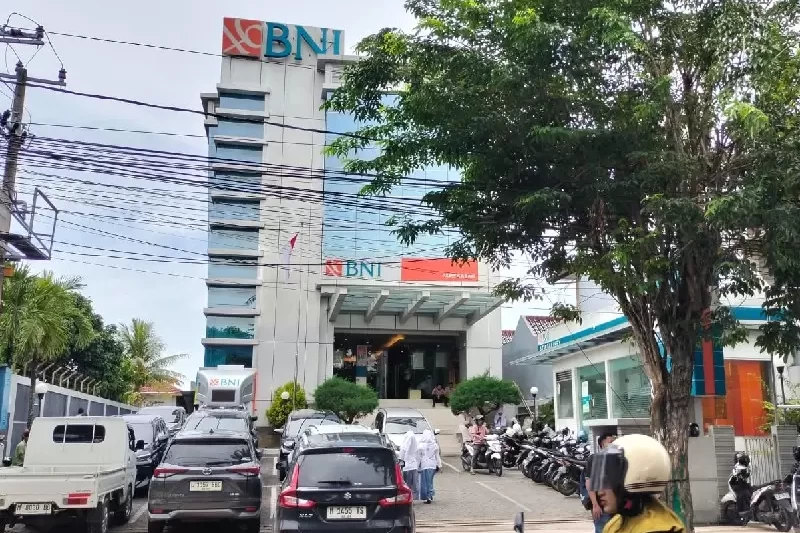 IMG-20260112-WA0034_copy_800x600