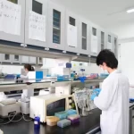 istockphoto-2205687043-612x612