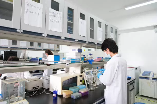 istockphoto-2205687043-612x612