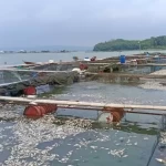 Screenshot_2026-01-26-17-54-37-71_6012fa4d4ddec268fc5c7112cbb265e7