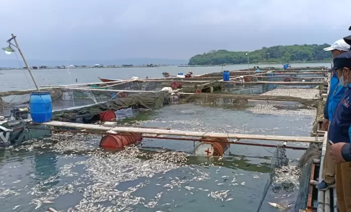 Screenshot_2026-01-26-17-54-37-71_6012fa4d4ddec268fc5c7112cbb265e7