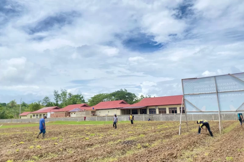 Biro SDM Polda Papua Barat Daya Tanam Jagung Dukung Pangan