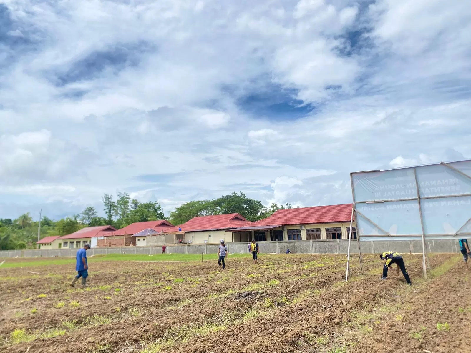 Biro SDM Polda Papua Barat Daya Tanam Jagung Dukung Pangan