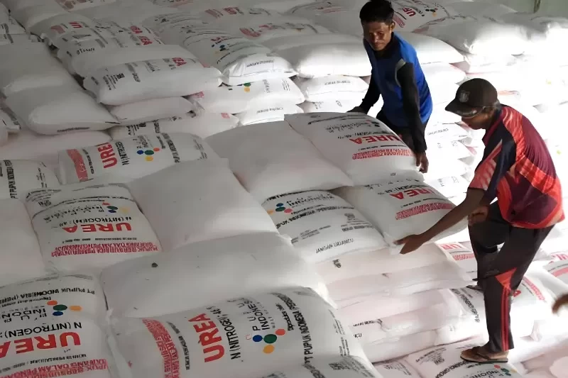 Desain tanpa judul - 2026-02-02T045954.261