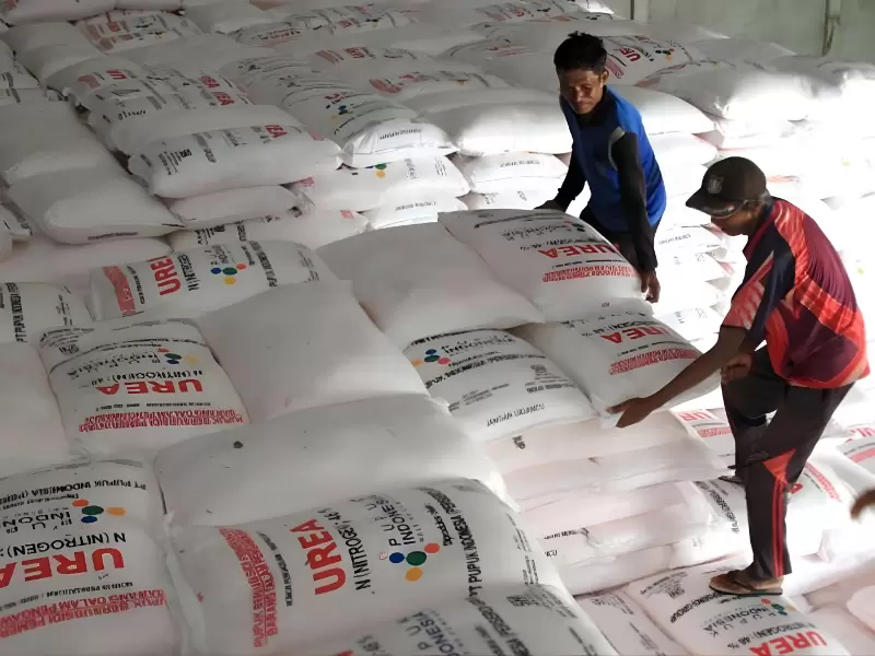 Desain tanpa judul - 2026-02-02T045954.261