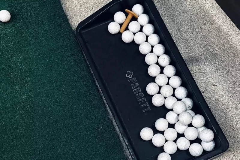 WhatsApp Image 2026-02-19 at 09.09.27