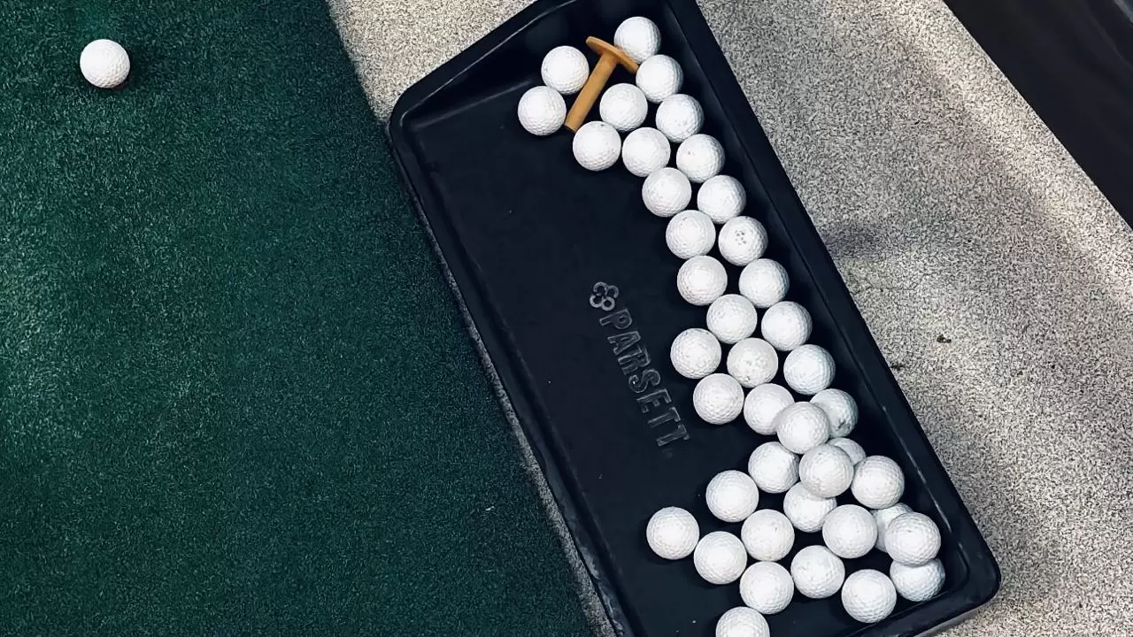 WhatsApp Image 2026-02-19 at 09.09.27