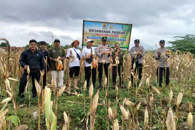 WhatsApp Image 2026-02-20 at 13.46.43