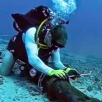 Desain tanpa judul - 2026-03-28T025023.868